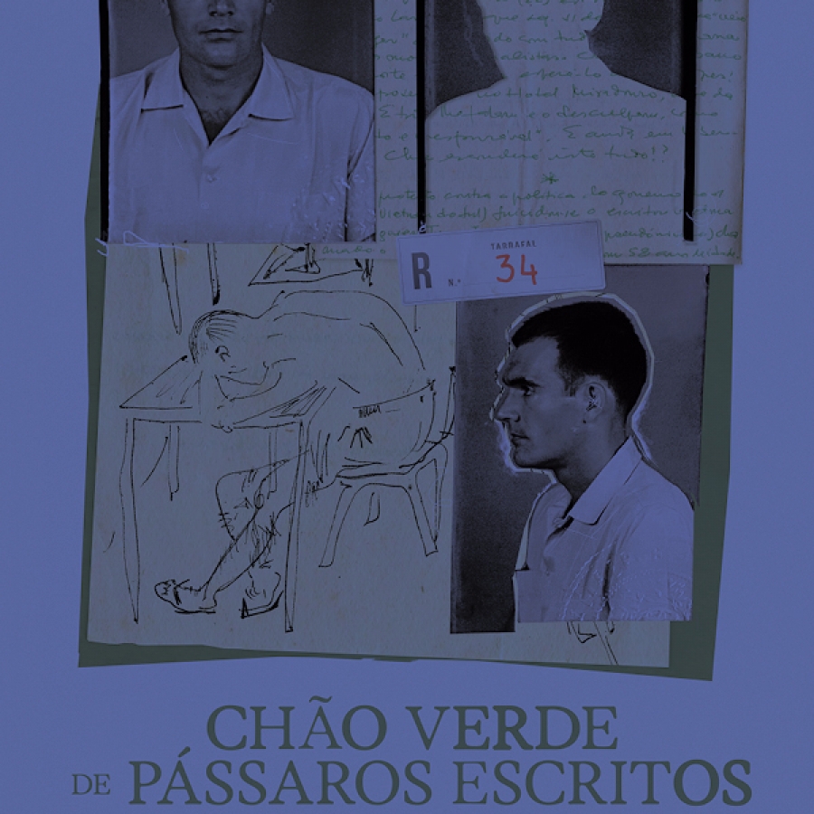 Chão Verde de Pássaros Escritos //