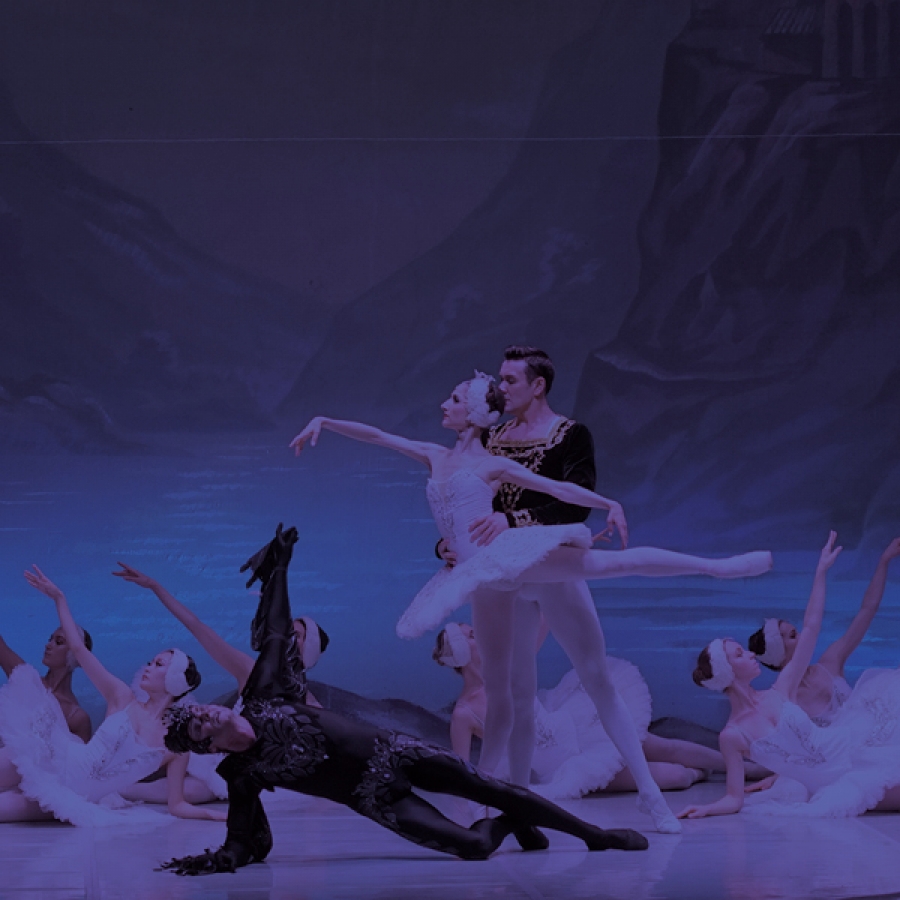 O Lago dos Cisnes // 