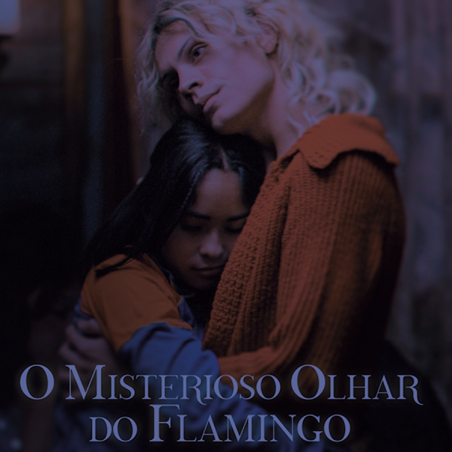 O Misterioso Olhar do Flamingo //